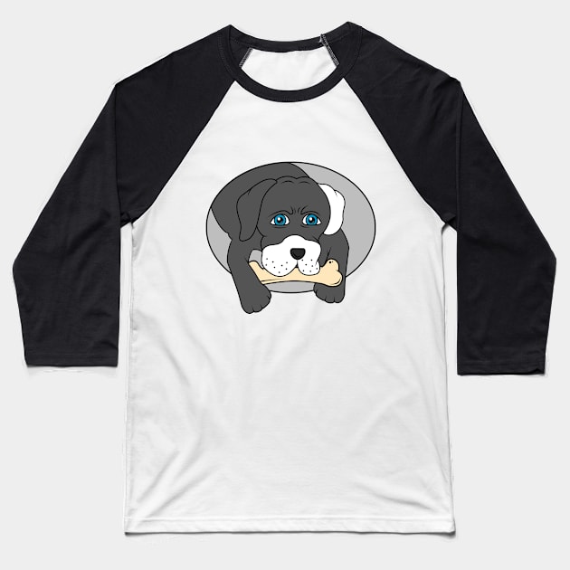 Cute dog with a bone Baseball T-Shirt by Markus Schnabel